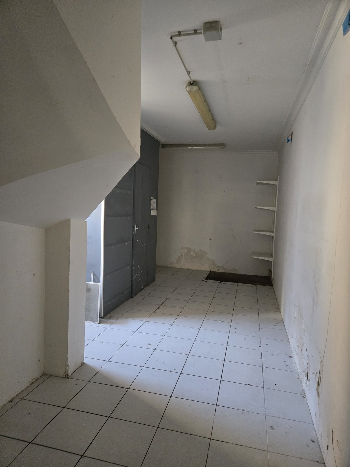 Local commercial Tours – photo 3